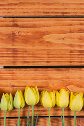 Similar image 13095862