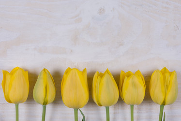 Similar image 13095886