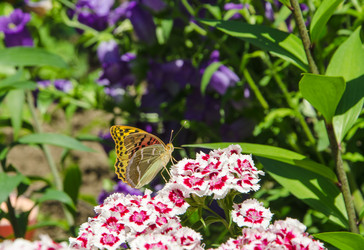 Similar image 13094412