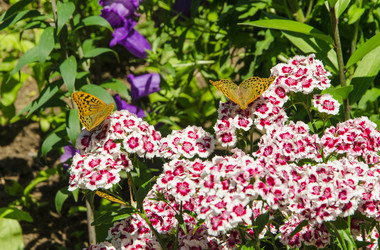 Similar image 13094413