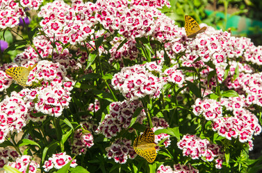 Similar image 13094414