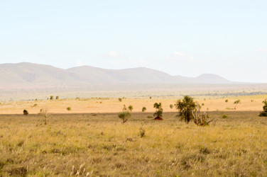 Similar image 13091452