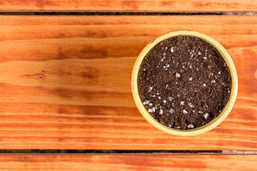 Similar image 13099337