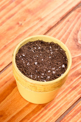 Similar image 13099339