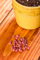 Similar image 13099353