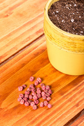 Similar image 13099354