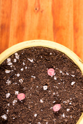 Similar image 13099355