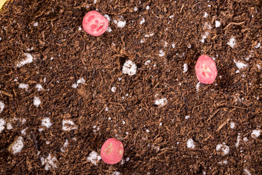 Similar image 13099356