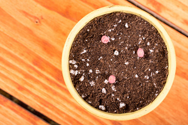 Similar image 13099365