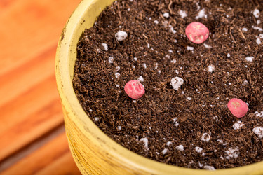 Similar image 13099391