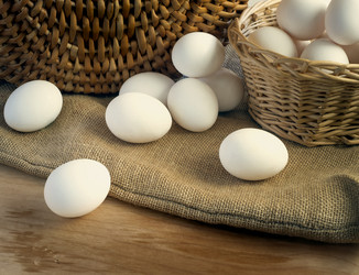 Similar image 13099680