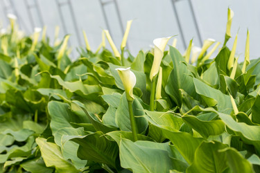 Similar image 13095869