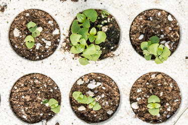 Similar image 13095889