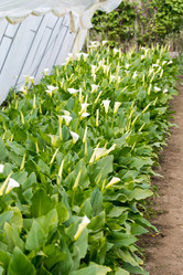 Similar image 13095907