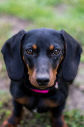 Similar image 13099042