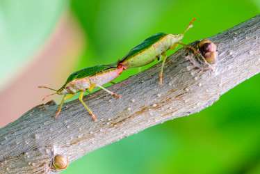 Similar image 13091473