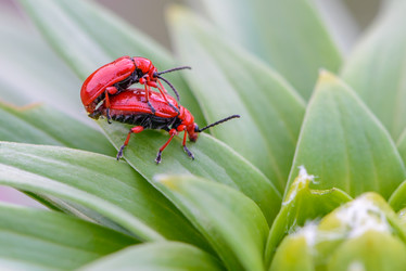 Similar image 13091476