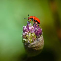 Similar image 13091479