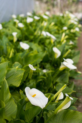 Similar image 13099257