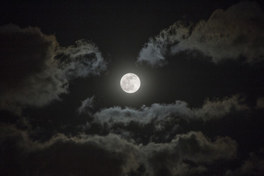 Similar image 13091436