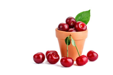 Similar image 13095708