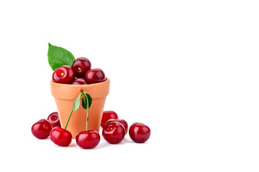 Similar image 13095709