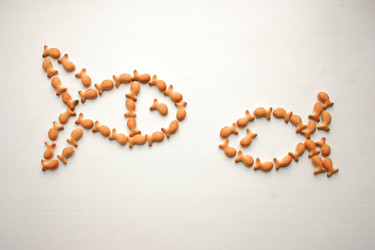 Similar image 13104322