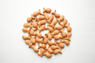 Similar image 13104323