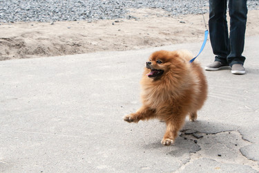 Similar image 13094893