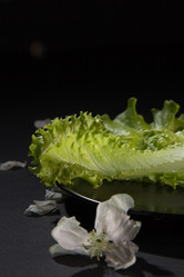 Similar image 13095282