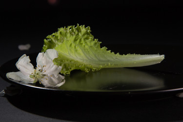 Similar image 13095284