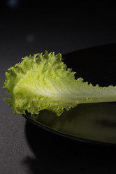 Similar image 13095286