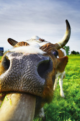 Similar image 13091443