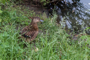 Similar image 13091464