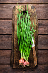 Similar image 13093552