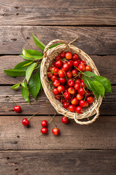 Similar image 13093559