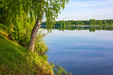 Similar image 13109538