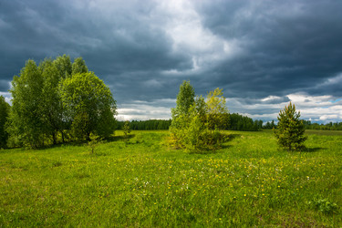 Similar image 13109544