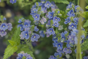 Similar image 13093581