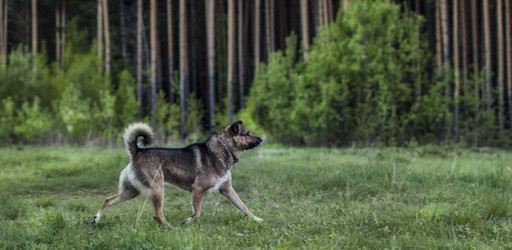 Similar image 13093601