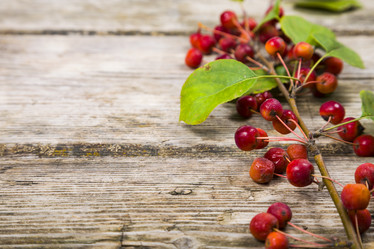 Similar image 13096085