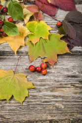 Similar image 13096086