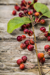 Similar image 13096087