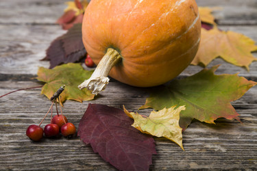 Similar image 13096047