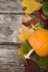 Similar image 13096050