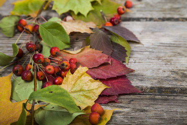 Similar image 13096051