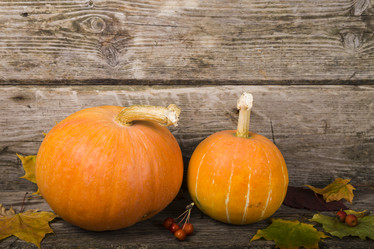 Similar image 13096052