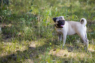 Similar image 13096007