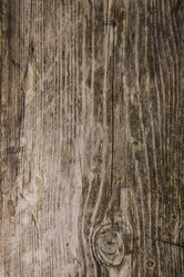 Similar image 13096168