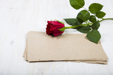 Similar image 13096071